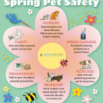 Spring Cat Care Safety